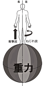 重力の説明図