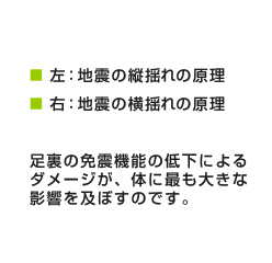 足裏の免震機能の低下によるダメージが、体に最も大きな影響を及ぼすのです。