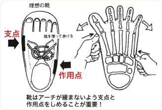 支点と作用点をしめることが重要！