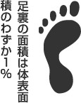 足裏は体表面積のわずか1％