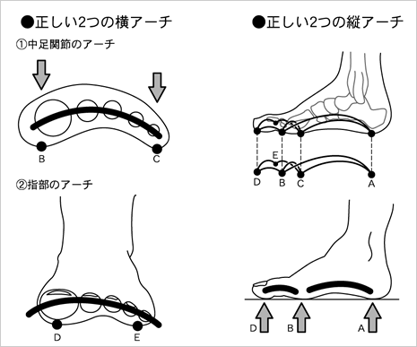 正常な足の特徴 