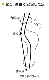 健康で安定した足