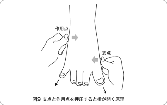 支点と作用点を押圧すると指が開く原理