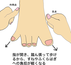 指が開く足のイラスト