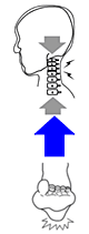 首に負担が加わる原因解説図