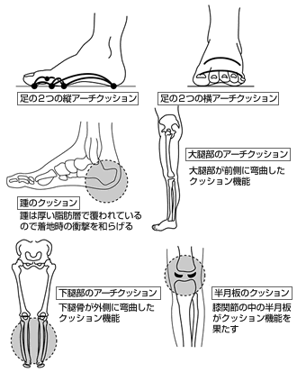 重力との関係性