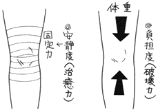 固定力と負担度の説明図