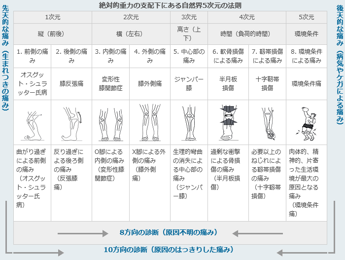 8方向の診断（原因不明の痛み）